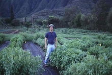 Hector Valenzuela